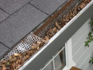 gutter guard ipswich 2434467 640