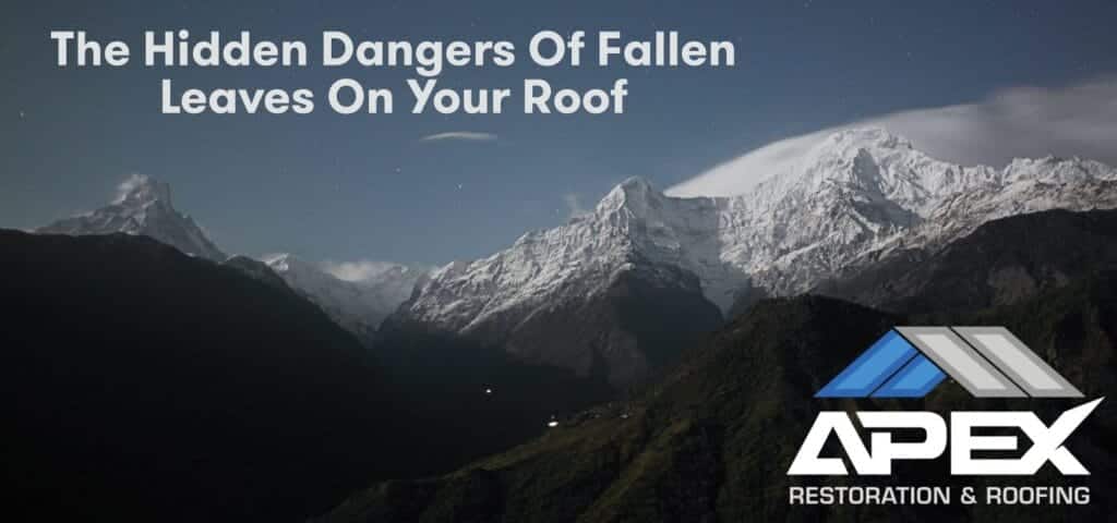 The Hidden Dangers of Fallen Leaves on Your Roof