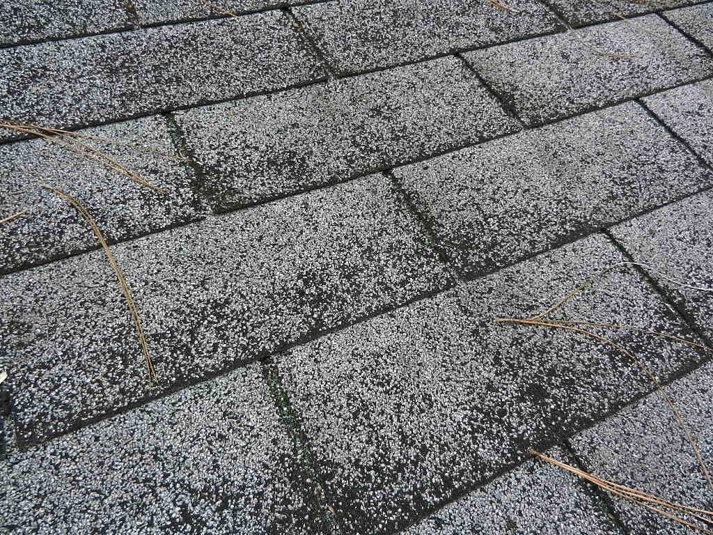 Granule loss on asphalt shingle roof