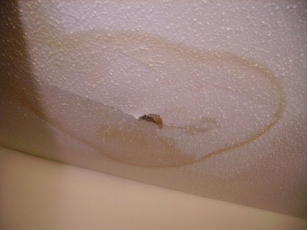 Leaking roof