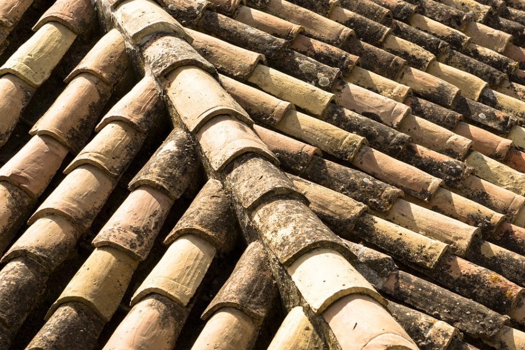 A roof with overlapping clay tiles, showing wear and age