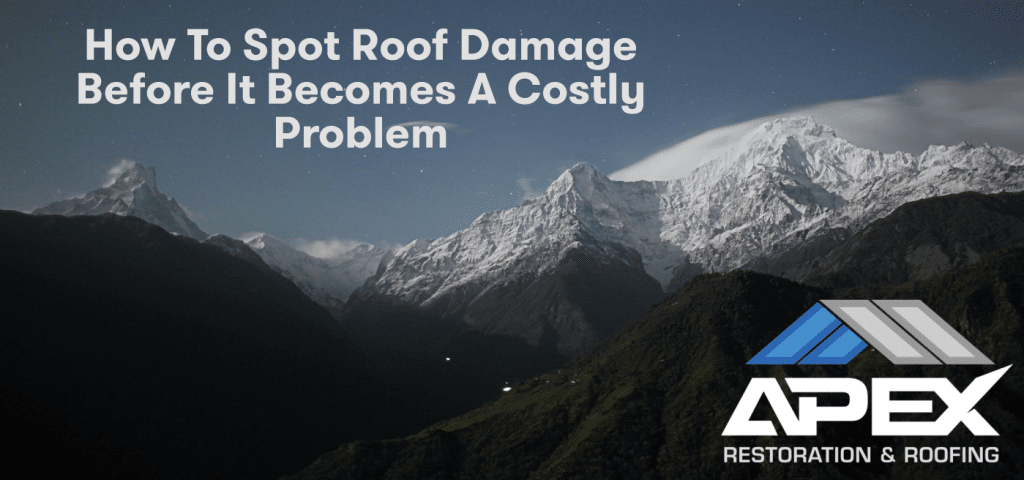 How to Spot Roof Damage Before It Becomes a Costly Problem