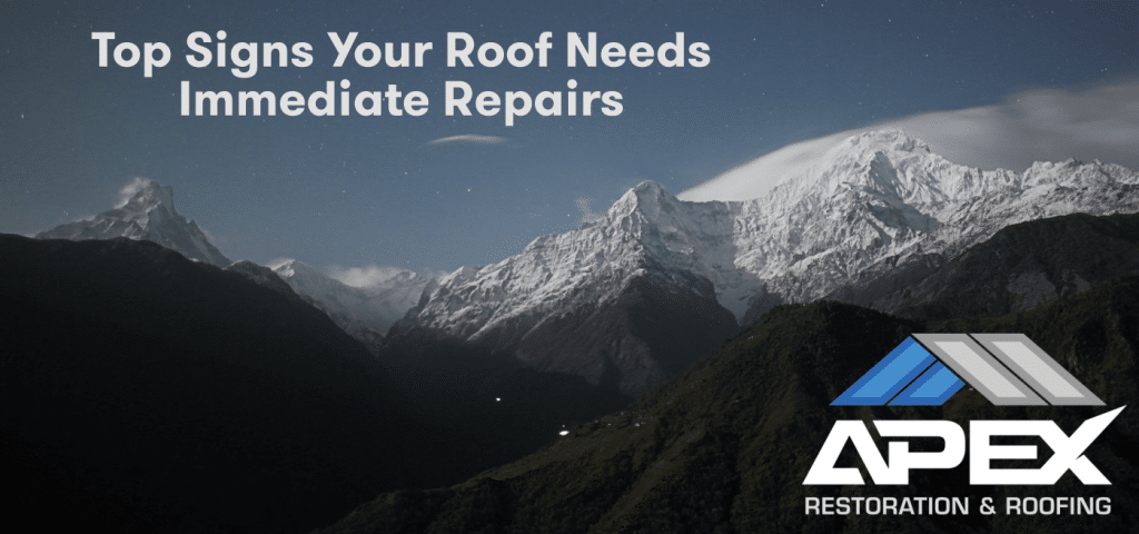 Top Signs Your Roof Needs Immediate Repairs