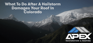 What to Do After a Hailstorm Damages Your Roof in Colorado