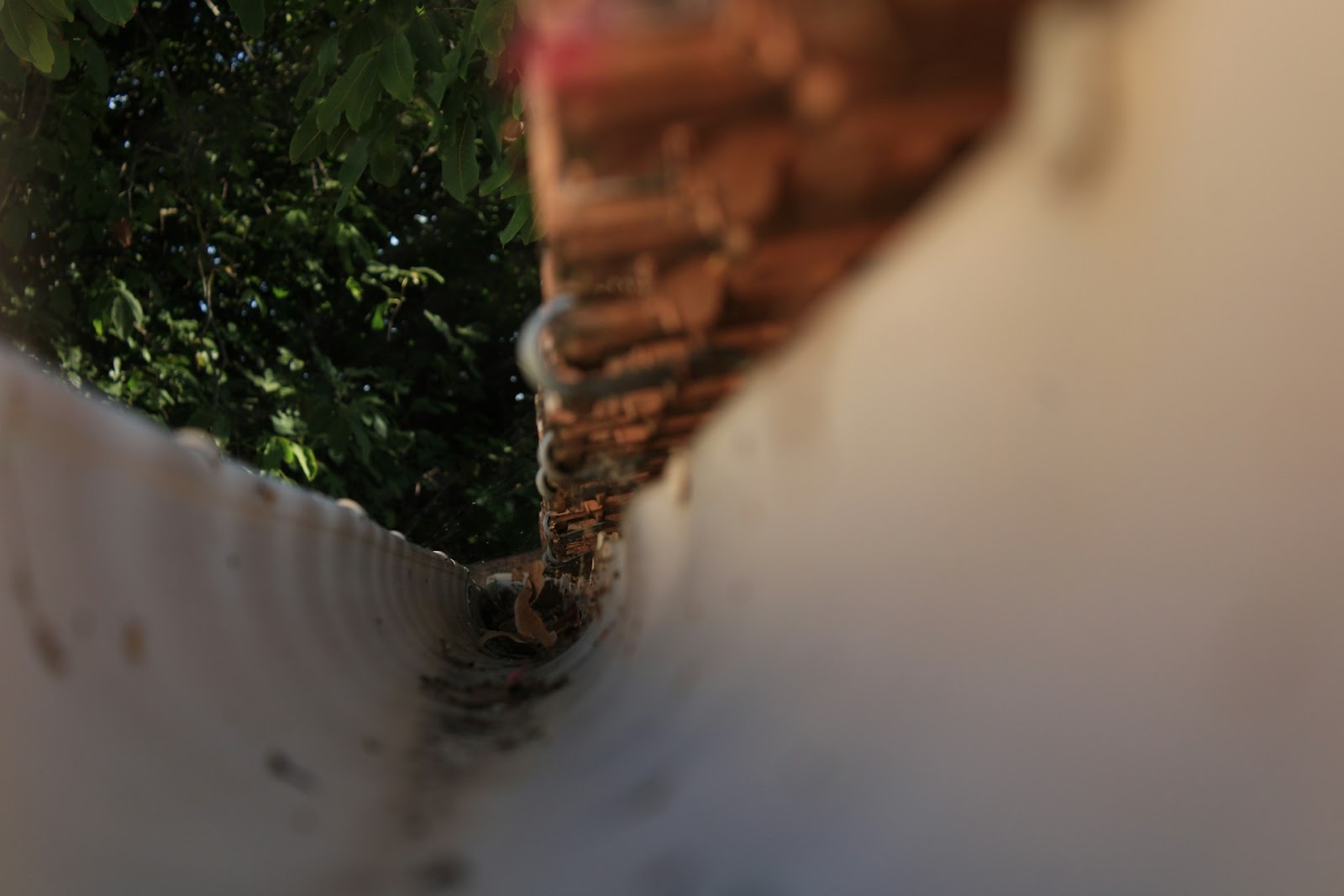 DIY Roof Repairs You Can (& Can't!) Do Yourself 1 AD 4nXczLeHN98D6rdF4W Kt8vq7fnlhtKdZf39NEIWBo9cx8pw5BDdnmbg7tZqzYJ1TXAIC83z3aChSoeodJ1RZ85zh8cpRsQBKqSHlgV 9I1C3zaAa Bc8Cep5KJq 02wHXt C6hqUrw