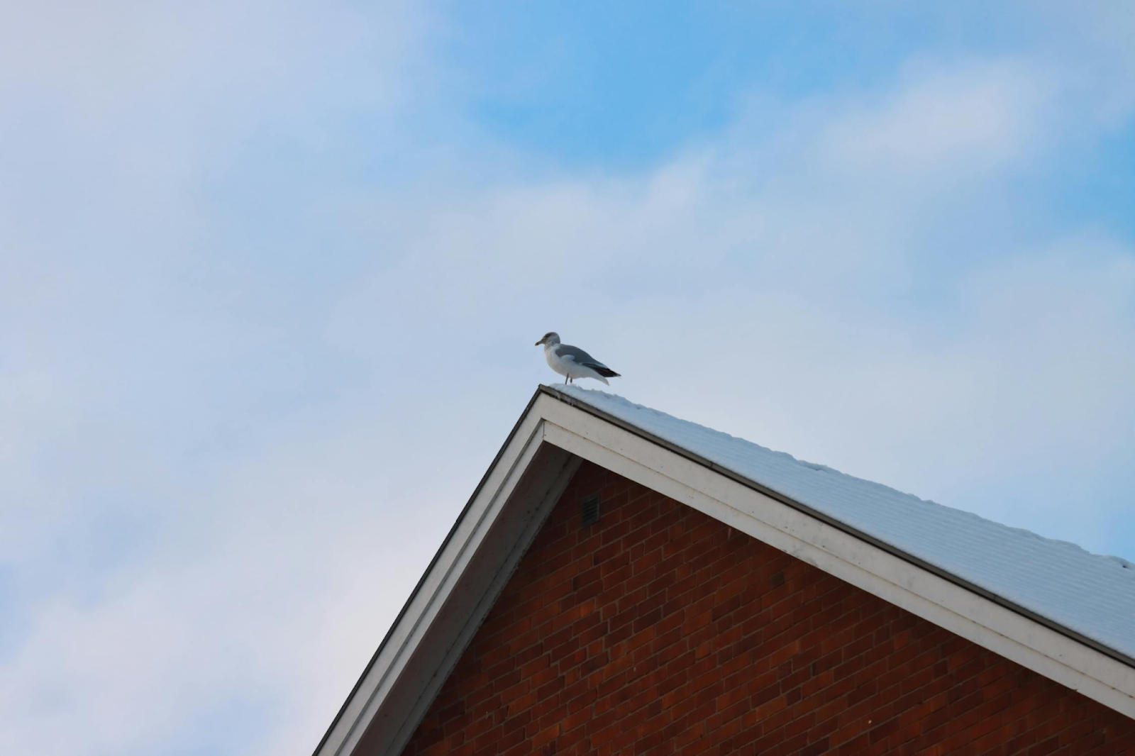 Ridge Vents For Roof Ventilation: Are They Worth It? 1 AD 4nXdEGVM2 9SlraYdqJcgD3AGkbl8RRcH0aUscl5kQhSTn2lLuzxaQRNGB0iQYxI2FQAvSt1qK68YZ5BBMzeHk 4Ou zAHLwSdoDC6sKAO8UVZo AJGs6HYCreimsovq1H qdrdT59w