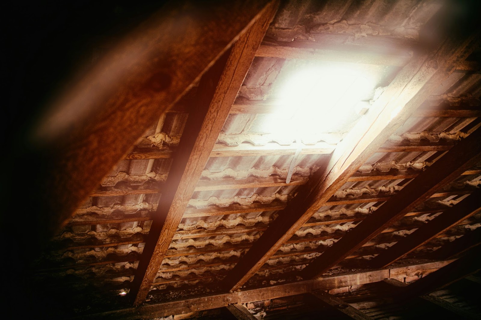 How to Keep Your Roof Cool 1 AD 4nXeVpnTBDrM2adlqajTXOuznEj5jSqzoSBgSOVmz0X9ChXWAjGx 4S1yWS0Wlo6mZDO K9xo FlDprP1 5auGj6kokg AFXthzWGYuDZ3Nb BeETzkM5XUni gCL2FMAzR 2p2N ZA
