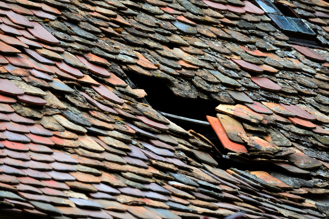 11 Main Signs Your Roof Is Going To Collapse (& What To Do About It) 1 AD 4nXek6O yB2kxlM7w7 0vGeRlZolknv MD82oNhWYnikIfqsBrSxBDuSG48ioEhF 3PDeZkrSDfwSwYotB8